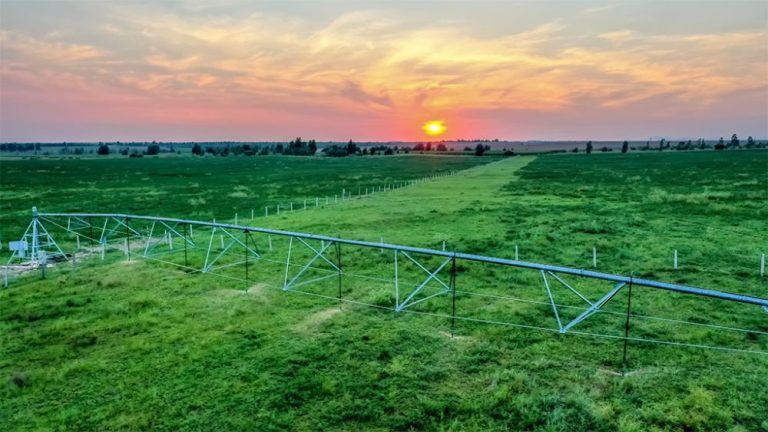 DJI_0555-1